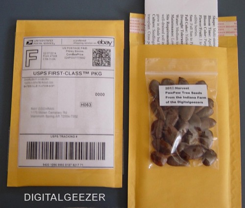 Fresh paw - ,