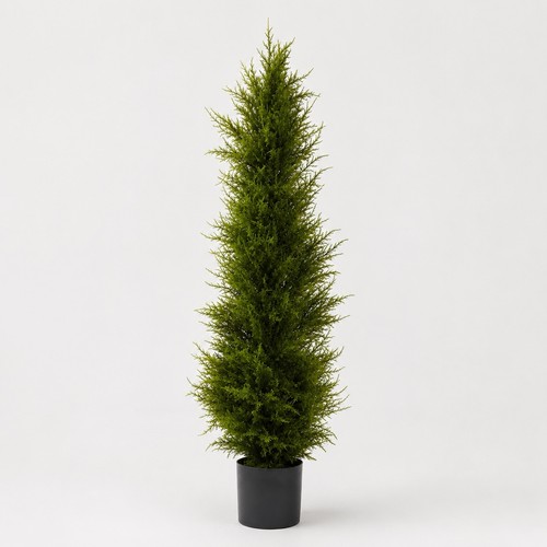Topiary cedar - topiary,