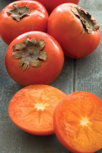 American persimmon tree - tree, –